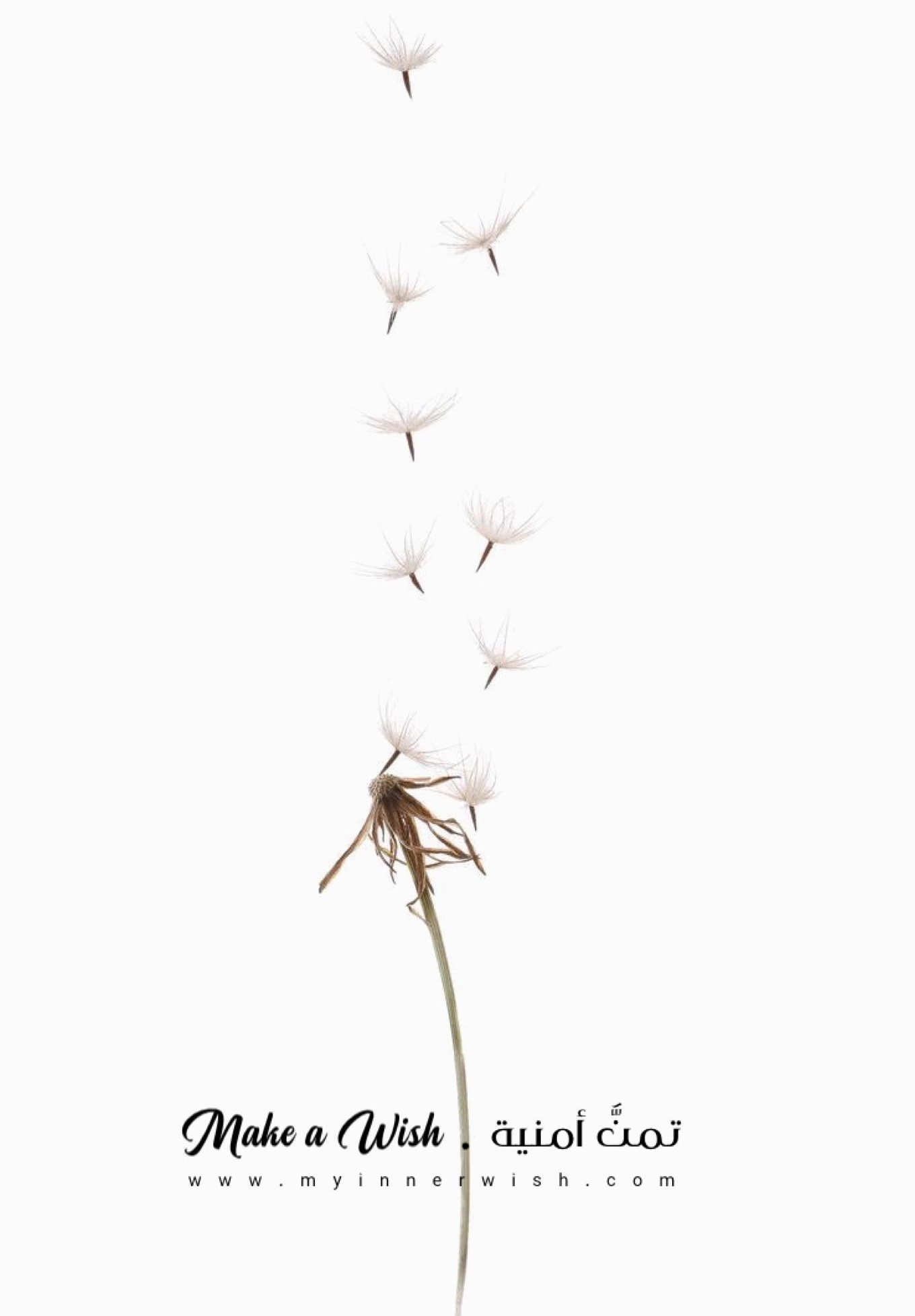 My Inner Wish 🕊️